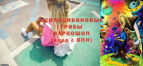 стаф Абинск