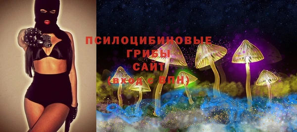 стаф Абинск