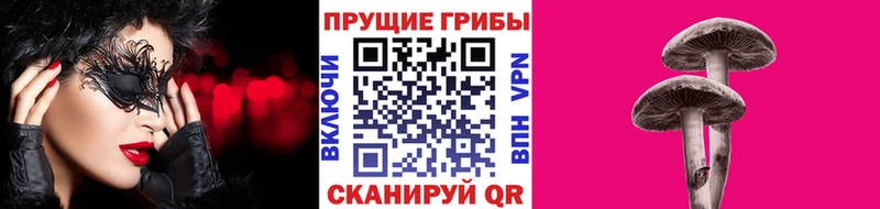 Псилоцибиновые грибы Psilocybe  кракен вход  Мурино 